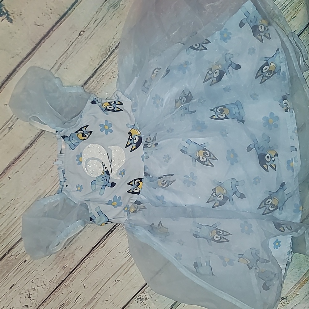 Bluey Number 2 Dress